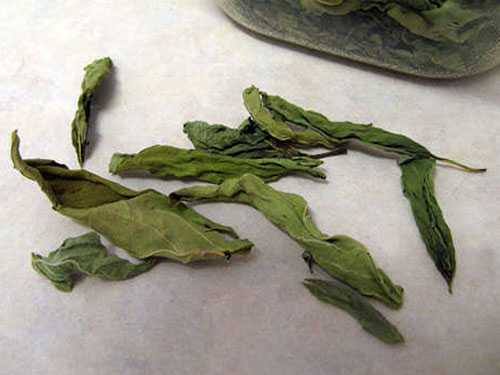 Как сушить базилик