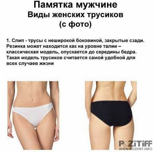 Основные виды женских трусиков