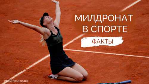 Содержание статьи