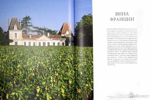 Наличие пузырьков в банке будет служить показателем нормального протекания процесса брожения