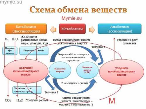 Недостаток витамина