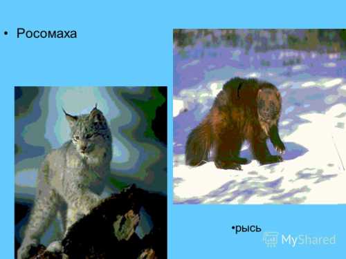 Королевство скалистых шлюзов Швеция