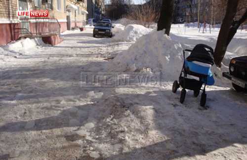 Почему Алена Водонаева рассталась с котом Ксении Собчак