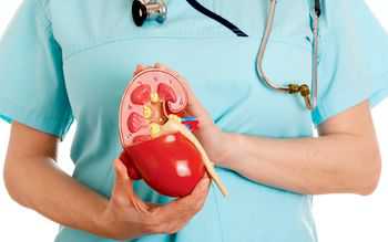 Как лечить почки в домашних условиях, вы можете узнать в нашей статье