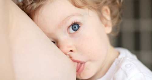 Как отучить ребенка от груди Отлучение ребенка от грудного вскармливания