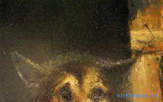 Соль высоко ценилась людьми еще на заре истории за лечебные и очищающие свойства