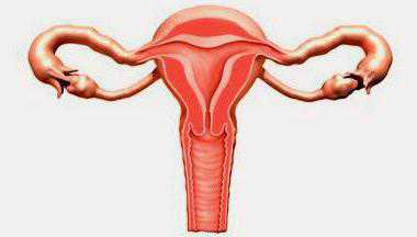 Риск внематочной беременности