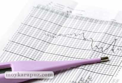 Как измерить базальную температуру  при овуляции и при беременности