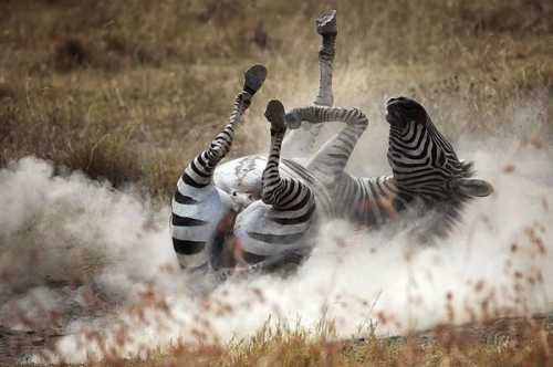 Современный научный метод