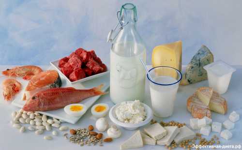 Белковая диета на 10 дней, меню, продукты,  как