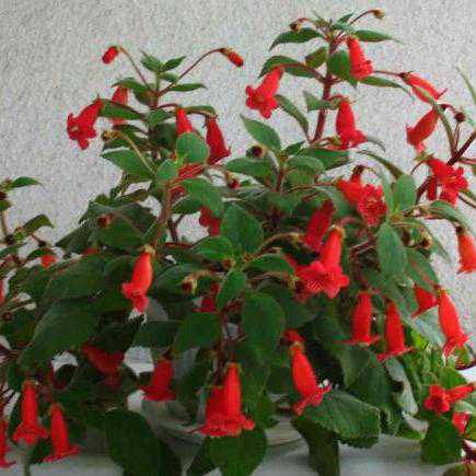 Реальность