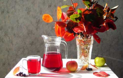 Рецепты компотов из дыни, секреты выбора