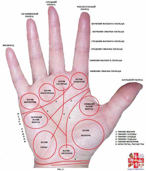 Линия ума на руке