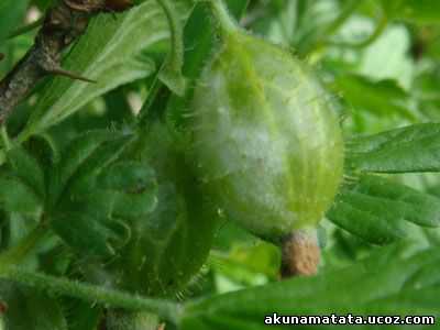 Подробнее о форматировании