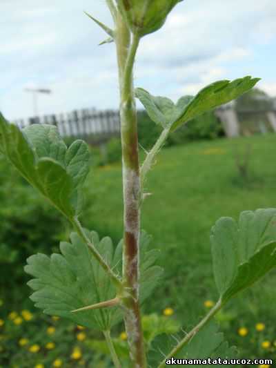 Подробнее о форматировании