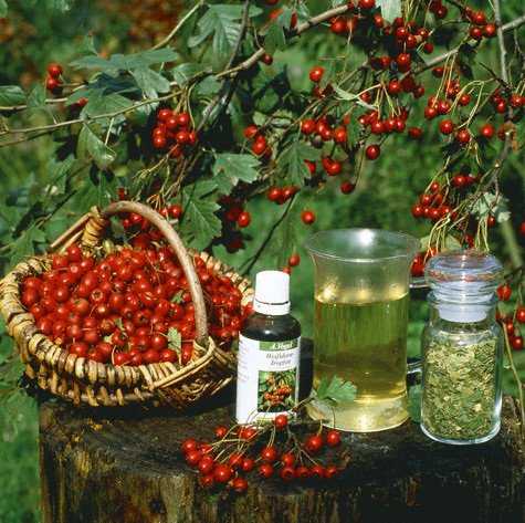 Шоколадная маска для лица в домашних условиях