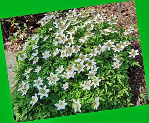 Можно попробовать такой способ посадки