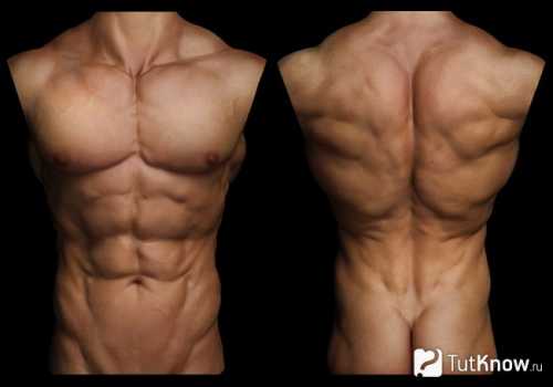 Ну а всем остальным предлагаем читать дальше