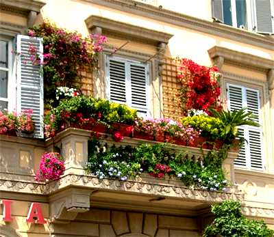 Садовые линии обычно представлены двумя видами