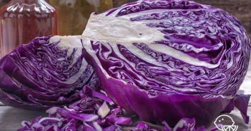 Польза краснокочанной капусты, возможный вред,