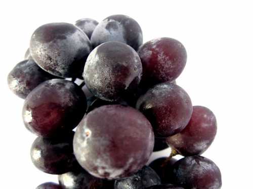 Виноград выбираем мясистый, спелый и без дефектов