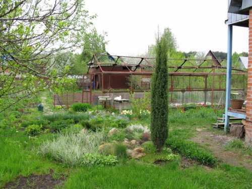 Покупки на дачу: что купить к дачному сезону, что