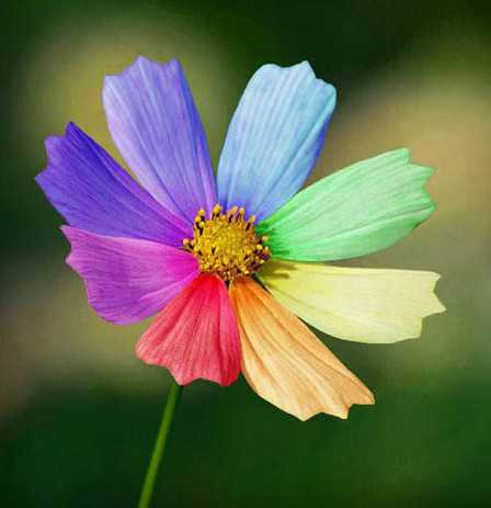 Одни готовы вырвать, другие просто быстро сплевывают иполощет рот