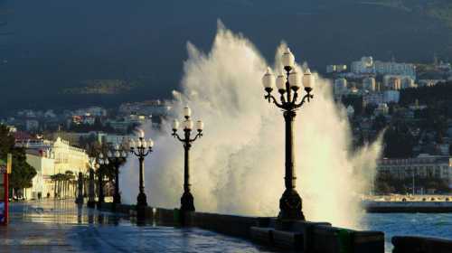 Шубская узаконила отношения ради будущих детей