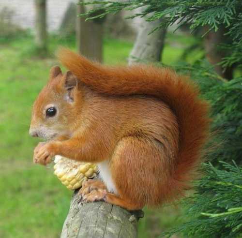 Сонник эзотерика