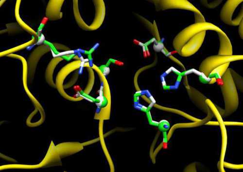 Щелочная фосфатаза