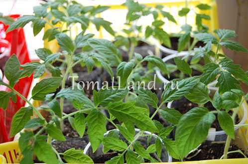 Знаете ли вы