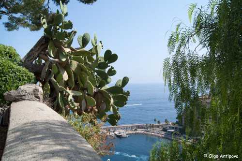 Очень хорошо и достаточно понятно всё написано, так как планируется поездка, и план