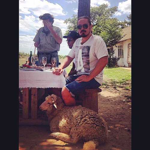 Поклонники