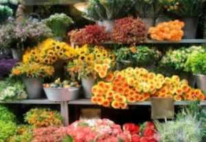 Запомните, что регистрация деятельности обязательное условие, иначе вас могут оштрафовать за незаконное предпринимательство