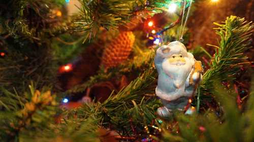 Взрослые тоже не останутся в обиде, для них создана мощная инфраструктура