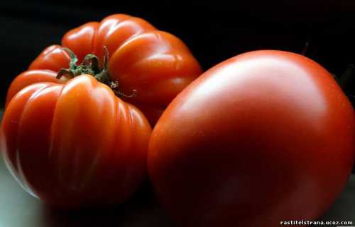 Уместно применить комплексный состав чл нитрофоски на л воды