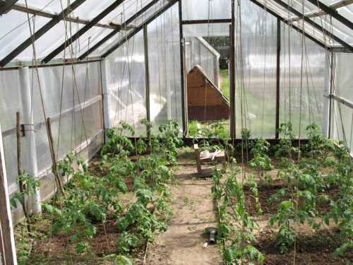 Уместно применить комплексный состав чл нитрофоски на л воды