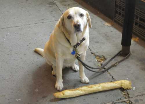 Тем не менее тест способен вызвать аллергическую реакцию, как и любой медицинский препарат